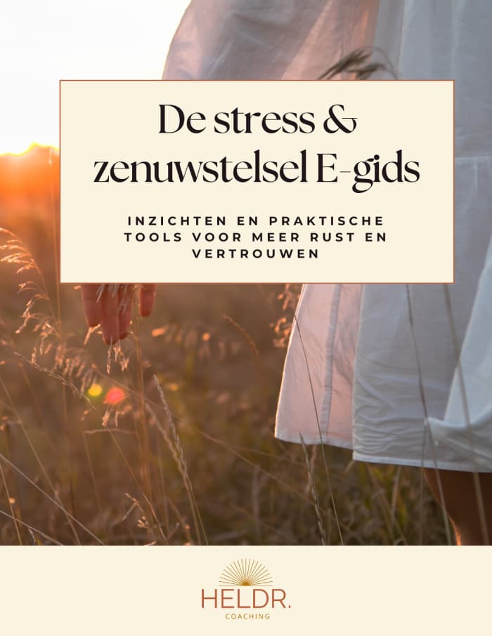 De stress en zenuwstelsel Egids - Beaudine de Groot